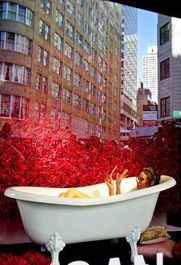 巧管家 七招成就洁净光亮浴缸